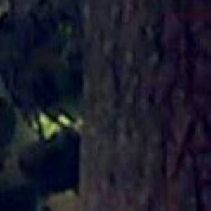 Meet your Posher, Ada